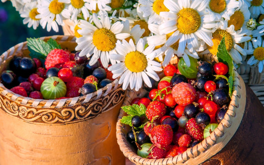954063 (a): :2560x1600